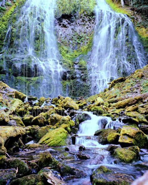 Photo Of Lower Proxy Falls By Photo Stock Source Waterfall Oregon