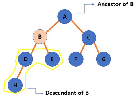 What Is A Tree · Maratoms Study Blog