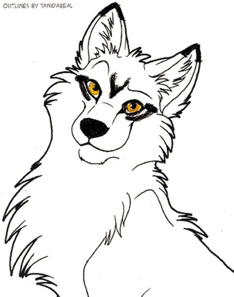 White Wolf With Black Markings By Rocketarcticwolf On