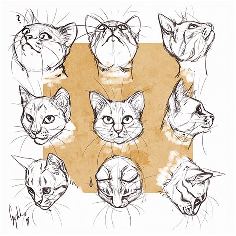 Easy Cat Drawing Ideas And Tutorials For Everyone Beautiful Dawn Designs