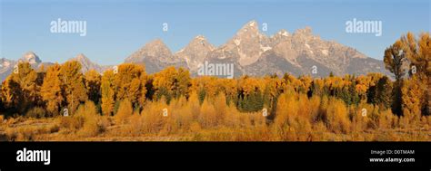 Rocky Mountains Tetons Peak Fall Autumn Foliage Panorama Wilderness
