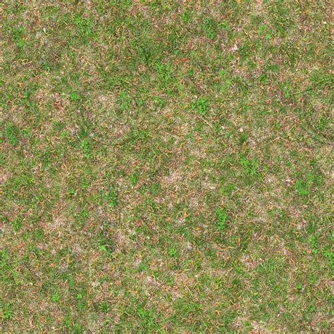 Texture Jpeg Ground Grass Seamless