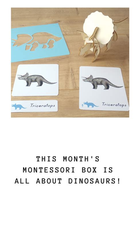 Montessori Inspired Dinosaur Unit Montessori Activities Montessori