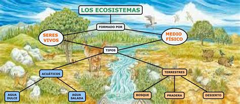 Mapas Conceptuales Tipos De Ecosistemas Proyectos De Ecosistemas Biomas