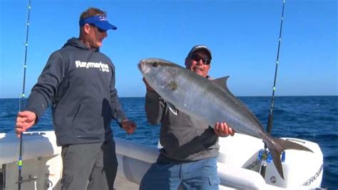 Florida Amberjack Fishing Hotspots Watch On Fishing Tv