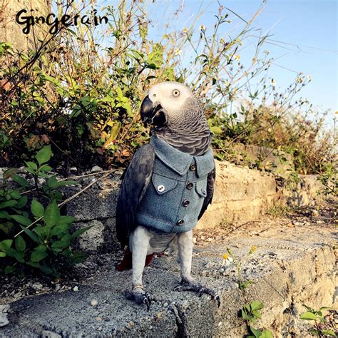 Gingerain Bird Clothes Parrot Motorcycle Youth Original Hand Made