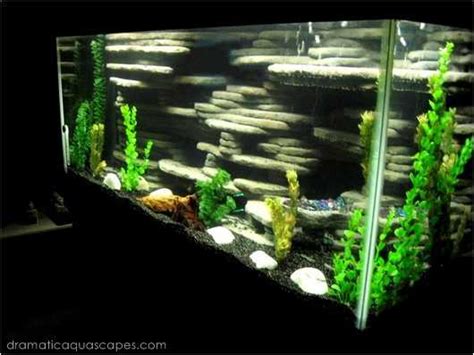 Why do some portions of my image appear blurry? 9 DIY Aquarium Backgrounds You Can Start Today - Learn How