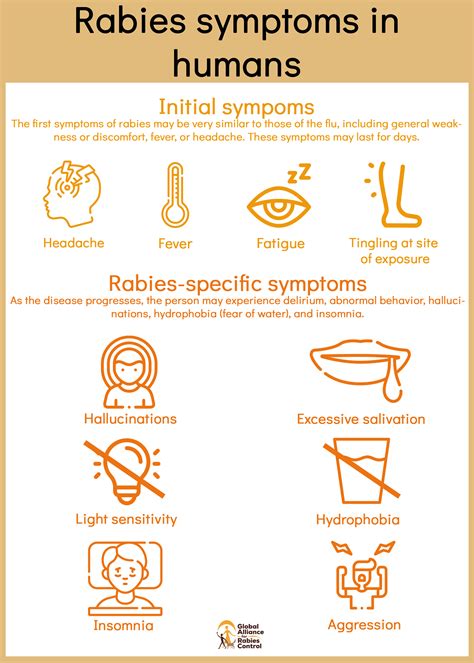 Signs and symptoms of rabies | Global Alliance for Rabies Control
