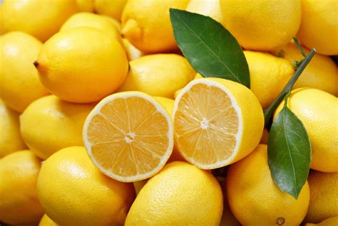 11 Fun Facts About Lemons