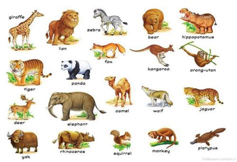 200 Nama Nama Hewan Dalam Bahasa Inggris Dan Artinya Lengkap