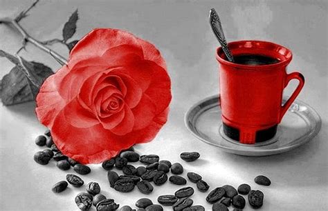 Free Download Sweet Morning To All Red Pic Expression Color Hd
