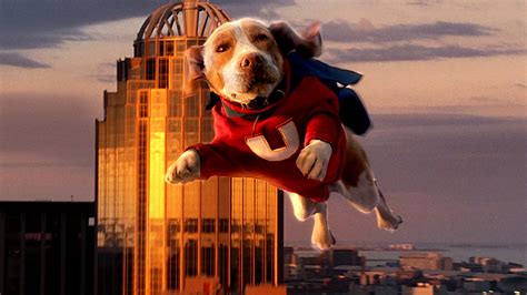 Underdog 2007 Backdrops — The Movie Database Tmdb