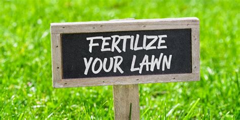 When To Fertilize Your Lawn In Texas Gfl Outdoors