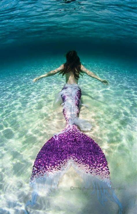 Pin By Sherry Prince On Mermaids Mermaid Pictures Beautiful Mermaids Mermaid Dreams