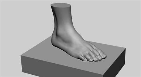 Female Foot Printable 3d Model 3d Printable Cgtrader