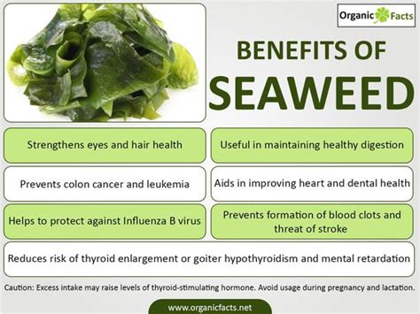 Benefits Of Seaweed