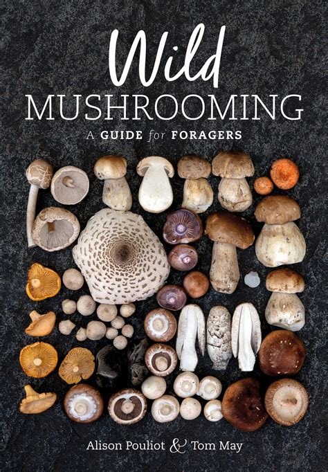 2022 Indie And Abia Longlisted Wild Mushrooming A Guide For Foragers