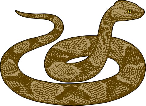 Free Snake Clipart Pictures Clipartix