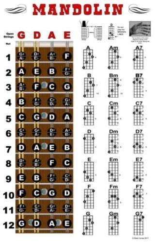 Mandolin Chord Chart Pdf