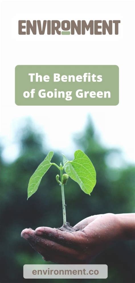 8 Benefits Of Going Green Environment Co
