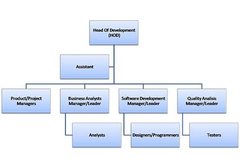 If you mean with only 6 employees, then the general structure with all essential roles should be: Software house - Wikipedia