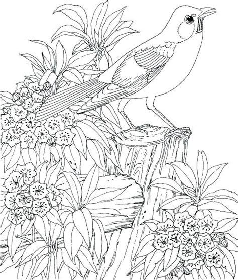 Nature Coloring Pages For Adults At Free Printable