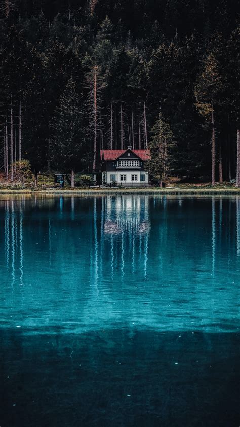 Dark Forest Wallpaper 4k House Tall Trees Woods Lake Body Of Water