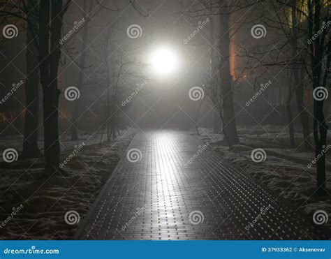 Foggy Park At Night Stock Photo Image Of Fantasy Mystery 37933362