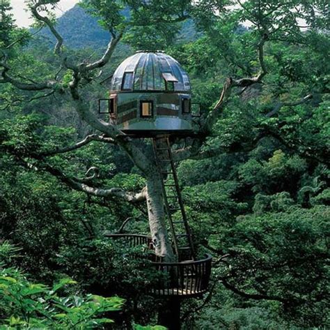 Unique And Creative Tree Houses Top Dreamer