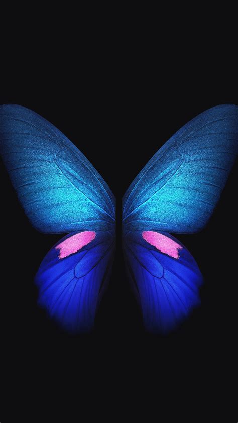 Samsung Galaxy Fold Blue Butterfly 4k Wallpapers Hd Wallpapers Id