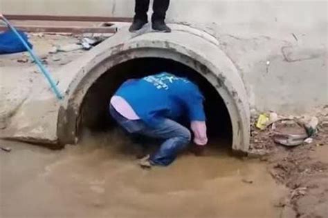 Footage Shows Rescuers Wrestling Four Metre King Cobra From Sewer In