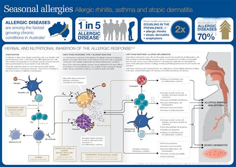 Seasonal Allergies - Symptoms Seasonal Allergies ...