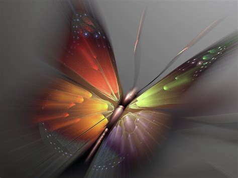 Free Download Abstract Butterfly Wallpapers For Laptop Unique Hd