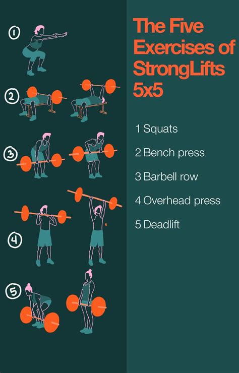 Stronglifts Weight Training Program For Adults The Amino Company