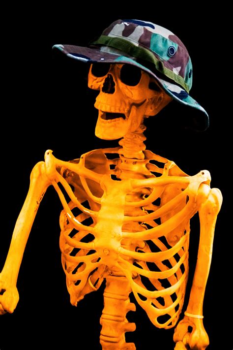 Halloween Skeleton Free Stock Photo Public Domain Pictures