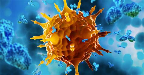 Sistema Inmunológico Sano Con Estos 5 Tips Biodefenz