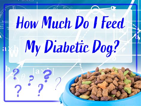 How Much Do I Feed My Diabetic Dog Pettest By Advocate