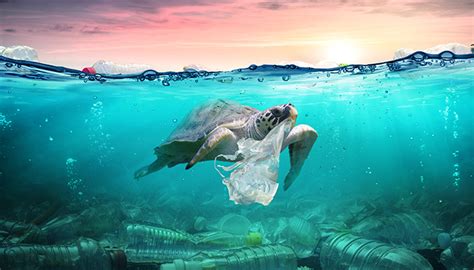 Ocean Plastics Could Be Killing Oxygen Making Bacteria