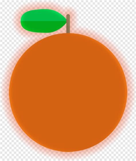 Orange Flower Free Icon Library