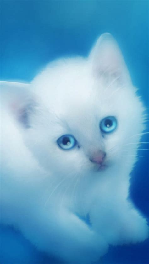 49 Cute Kitten Iphone Wallpaper Wallpapersafari