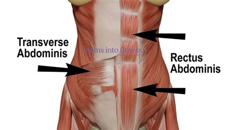 Lower Ab Muscle Exercises Off