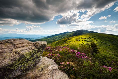 Appalachian Trail Spring Flowers Roan Mountain Highlands Landscape