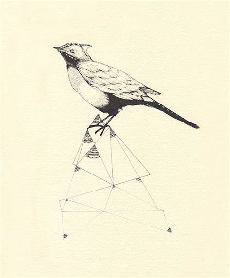 Geometric Bird Bird Drawing Geometry Illustration Pencil Sketch