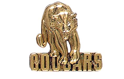 School Pin Awards Cougar With Cougars Mascot Pin School Awards From