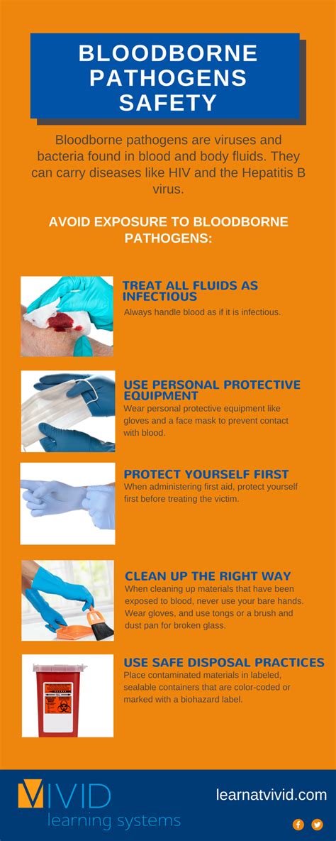 Bloodborne Pathogens Safety Infographic Hsi