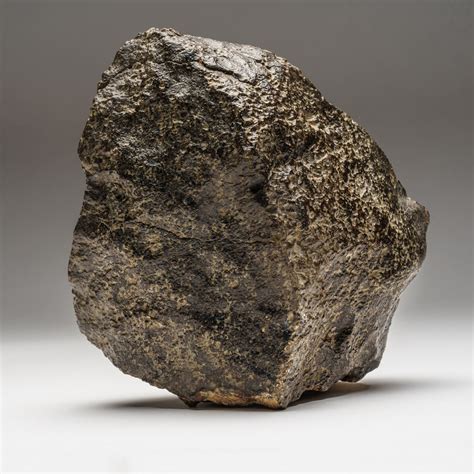 Genuine Natural 020 Dhofar Meteorite Astro Gallery Touch Of Modern