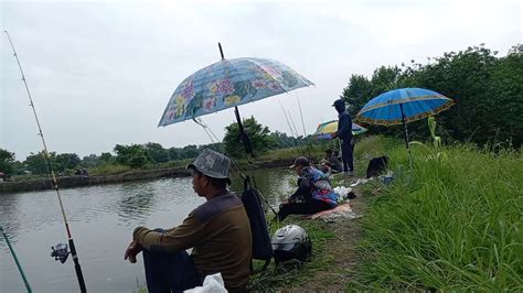 Mancing Di Tambak Bandeng Youtube