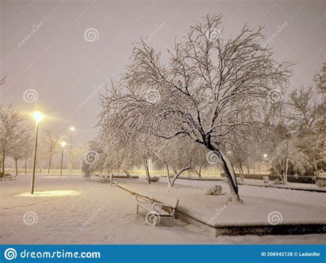 Snowstorm Blizzard On A Park Snowing In Winter Stock Photo Image
