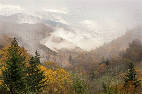 Usa North Carolina Great Smoky Mountains Autumn