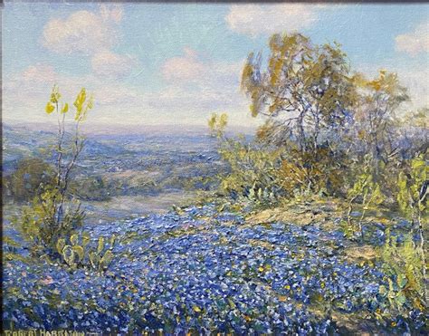 Robert Harrison High On A Hill Bluebonnet Texas Hill Country